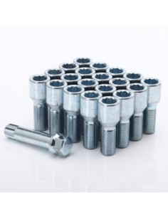 Set of 20 Short SILVER star bolts 12x1,5 + Key 2