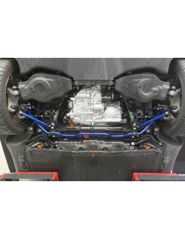 Hardrace - Rear Sway Bar Tesla Model 3